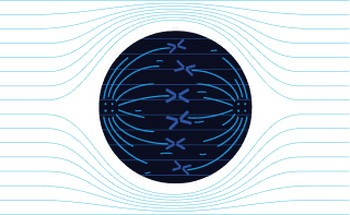 Mobile view of metaphase stage influenced by TTFields during cell division