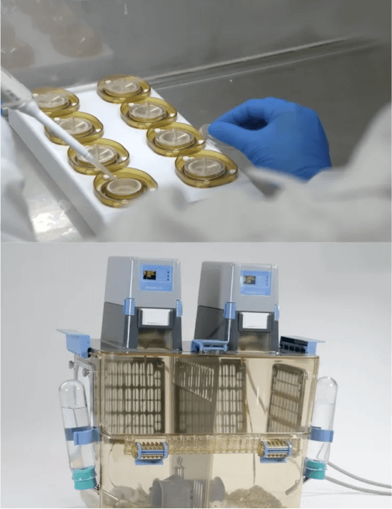 Laboratory handling of TTFields in vitro cell culture modules