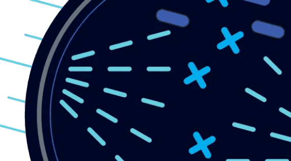 Banner showing cellular mitosis interference by TTFields